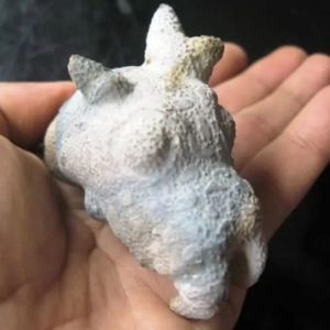 Dragon Head - Type FDH 9