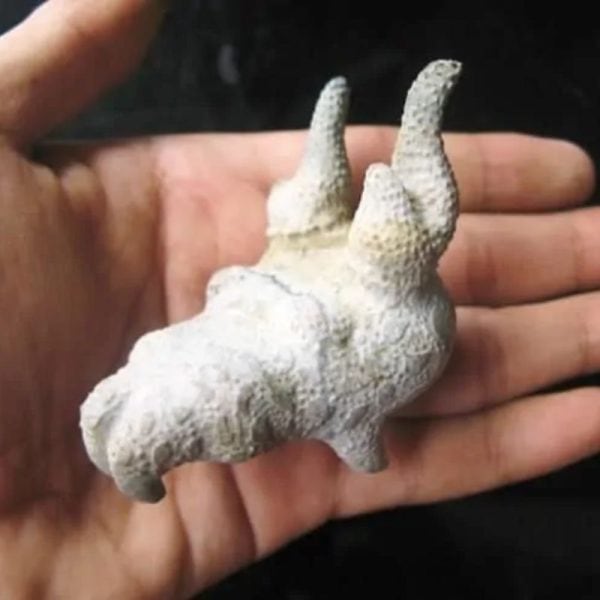Dragon Head - Type FDH 8 - Image 4