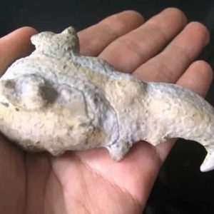 Dragon Head - Type FDH 6