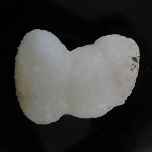 arcanegeligastone09_1