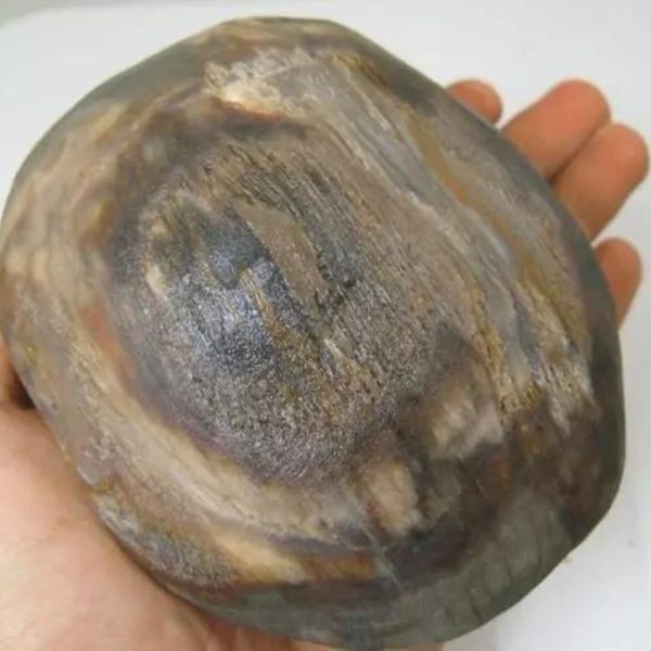 Gaharu/Agarwood Pearl - Type G1