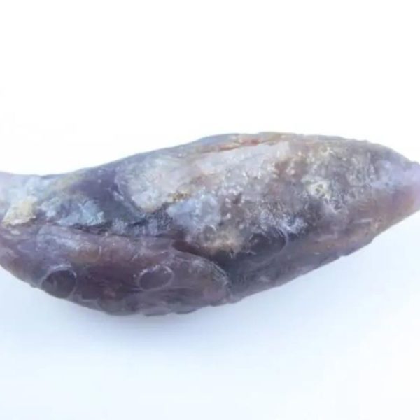 Fossilized Caterpillar - Type A2 - Image 4