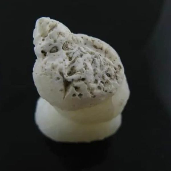 arcanegeligastone10_1
