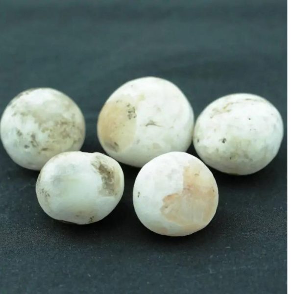 Human Pearls - Type M1 - Image 2