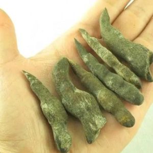 Black Chicken (Ayam Cemani) Horns - Type B