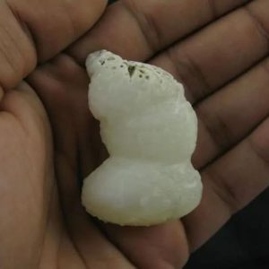 White Lion Horns - Type A2