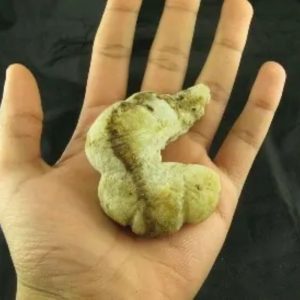 King Dragon Horns - Type A5