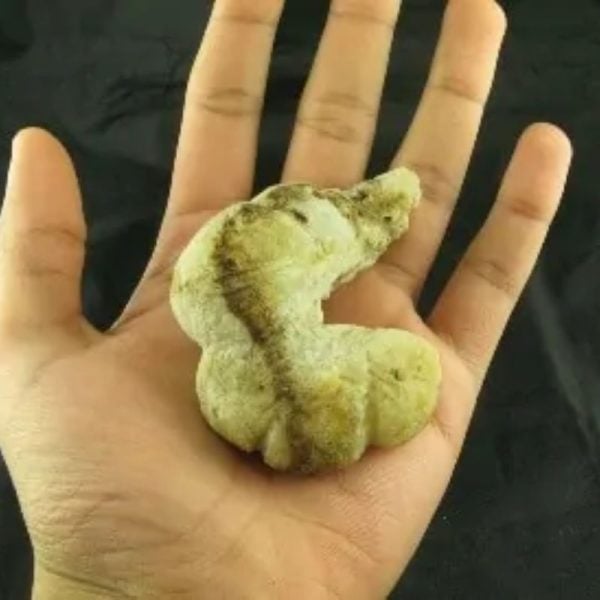 King Dragon Horns - Type A5