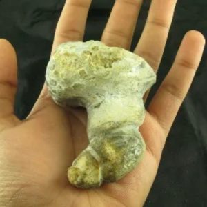 King Dragon Horns - Type A7