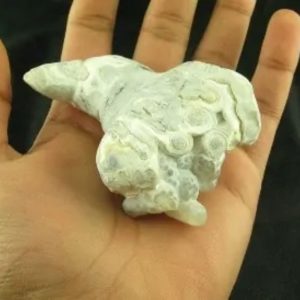 King Dragon Horns - Type A8