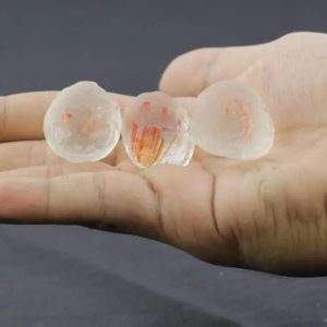 Squid Pearls - Type A1