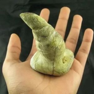 King Dragon Horns - Type A9