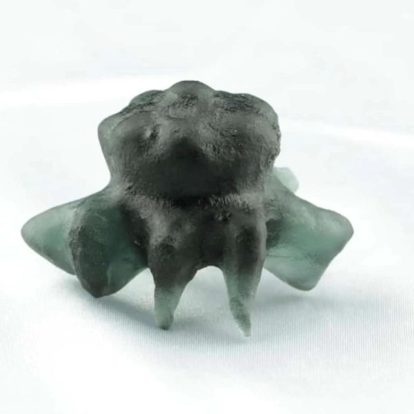 Caterpillar Fossil - Type A1