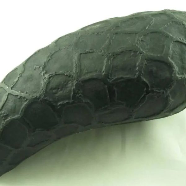 Dragon Pearl - Type A6 - Image 6