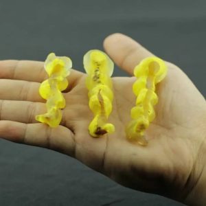 Yellow Eel Pearls - Type A