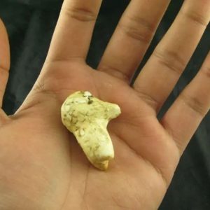 White Sanca Snake Horns - Type B3