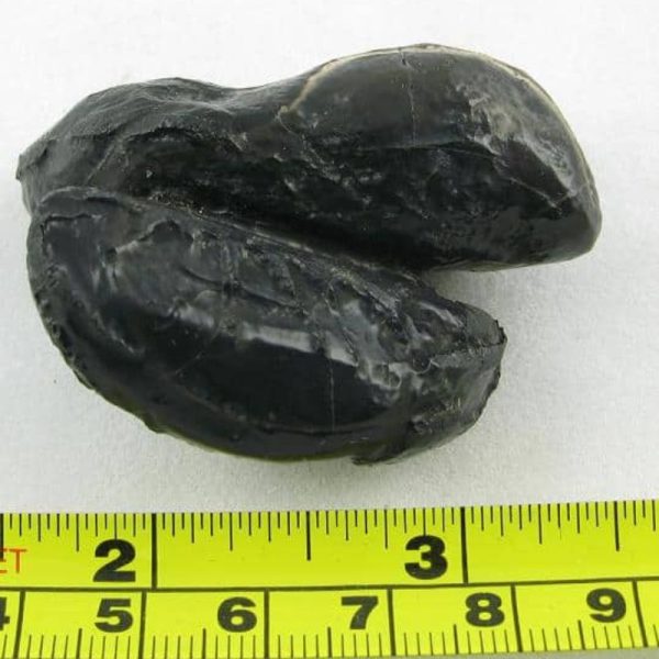 Dewa Pearl - Type C