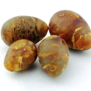 Sealions Pearls - Type A1