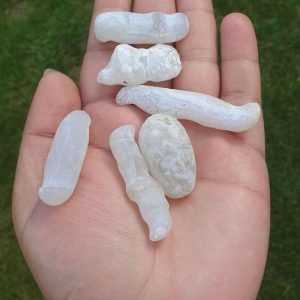 Rabbit Pearl - Type C "White Rabbit"
