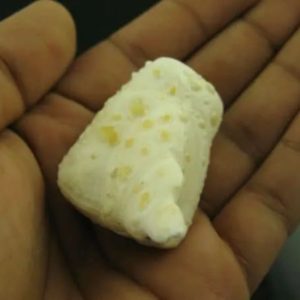 White Sanca Snake Horns - Type D9