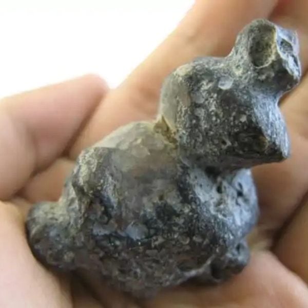 Dewa Human Pearl - Type I1 - Image 2