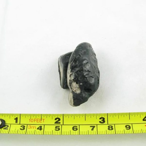 Dewa Pearl - Type G - Image 2