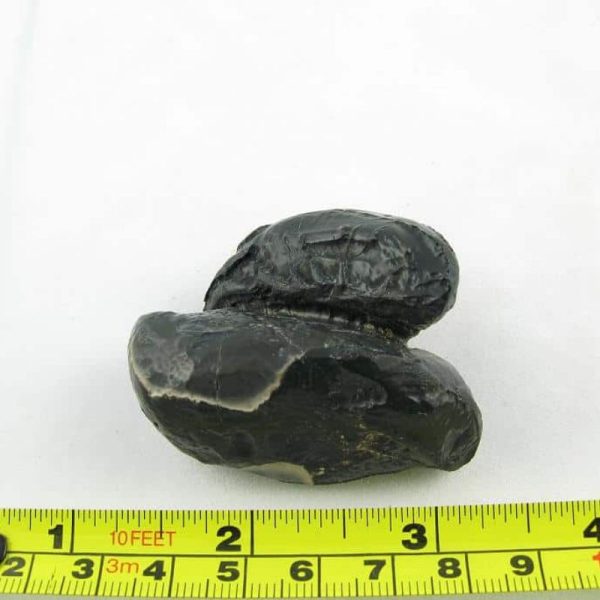 Dewa Pearl - Type C - Image 2