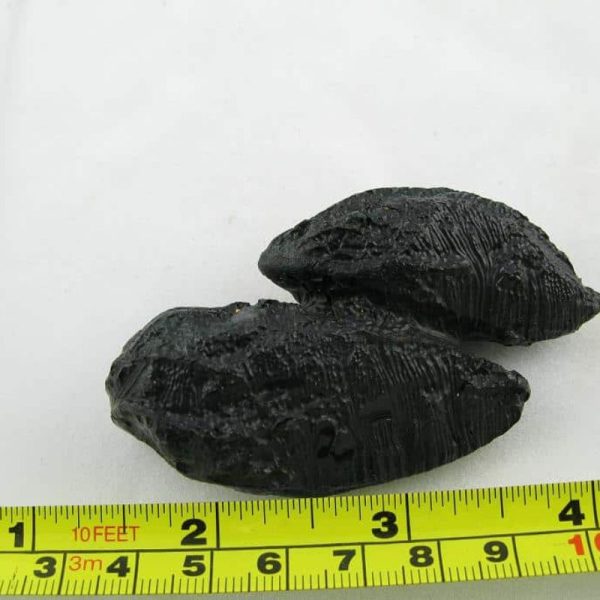 Dewa Pearl - Type B - Image 2