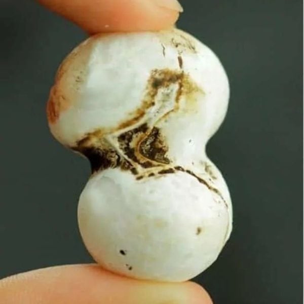 Human Pearls - Type M2 - Image 2