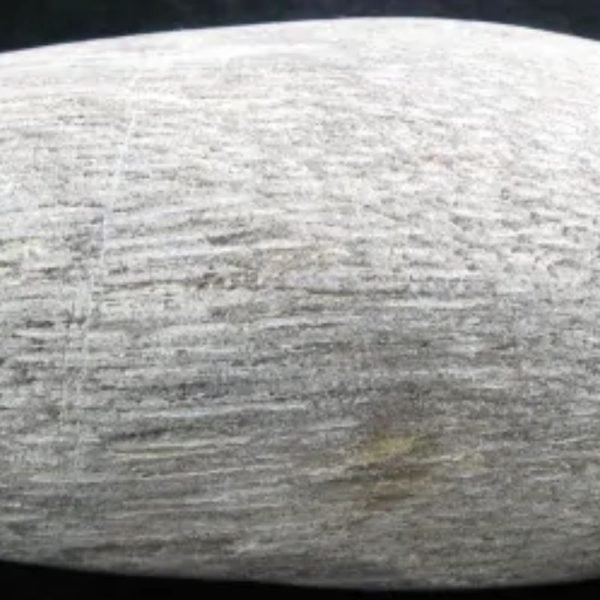 Nagasari Wood - Fossilized - Image 2