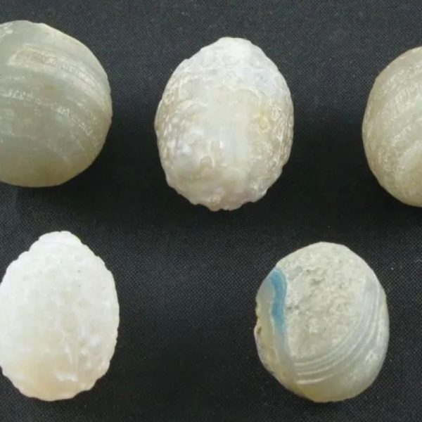 Fossilized Tiger Testicle Pearl - Type H - Image 3