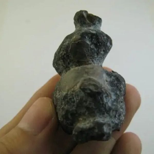 Dewa Human Pearl - Type I1 - Image 4