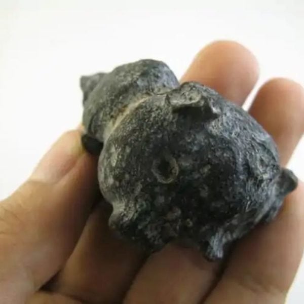 Dewa Human Pearl - Type I1 - Image 5