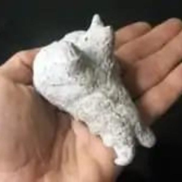 Dragon Head - Type FDH 5 - Image 2