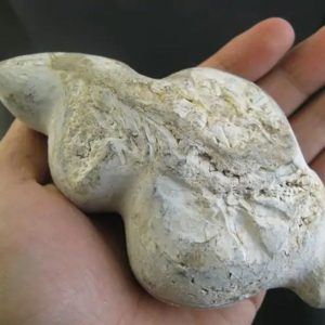 Dragon Hair Fossil - Type A1