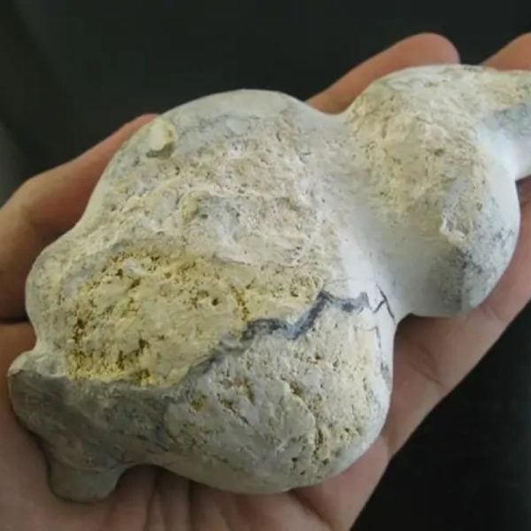 Dragon Hair Fossil - Type A1 - Image 3