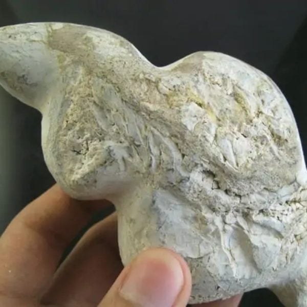 Dragon Hair Fossil - Type A1 - Image 2