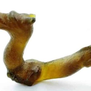 Fossilized Dragon - Type A1
