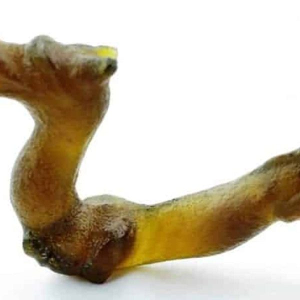 Fossilized Dragon - Type A1