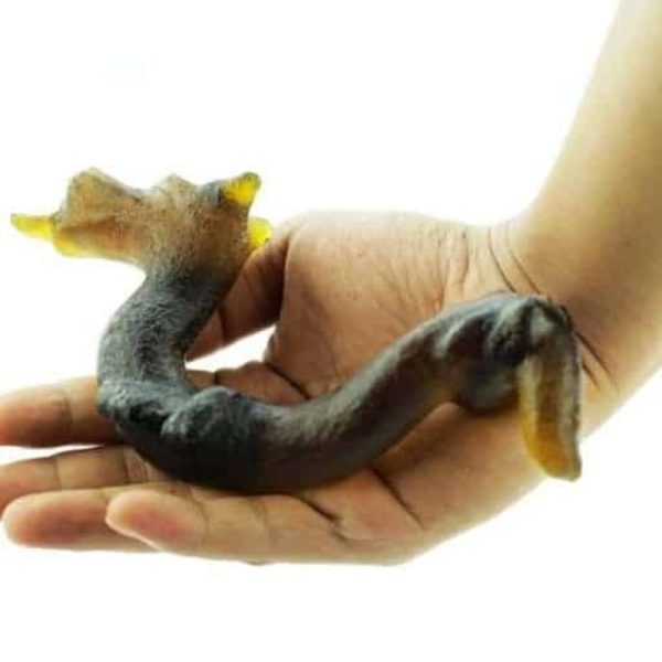 Fossilized Dragon - Type A1 - Image 3