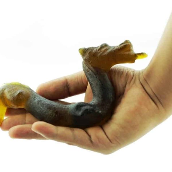 Fossilized Dragon - Type A1 - Image 2