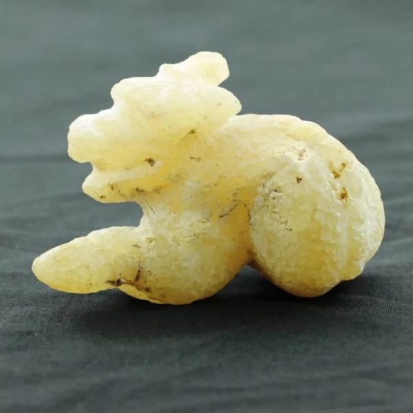 Javanese Dragon - Type A3 - Image 4