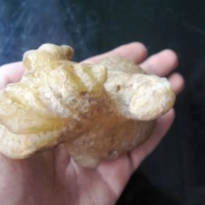 Javanese Dragon Stone - Type H3