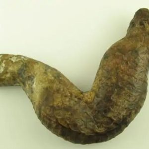 Javanese Dragon Stone - Type A2
