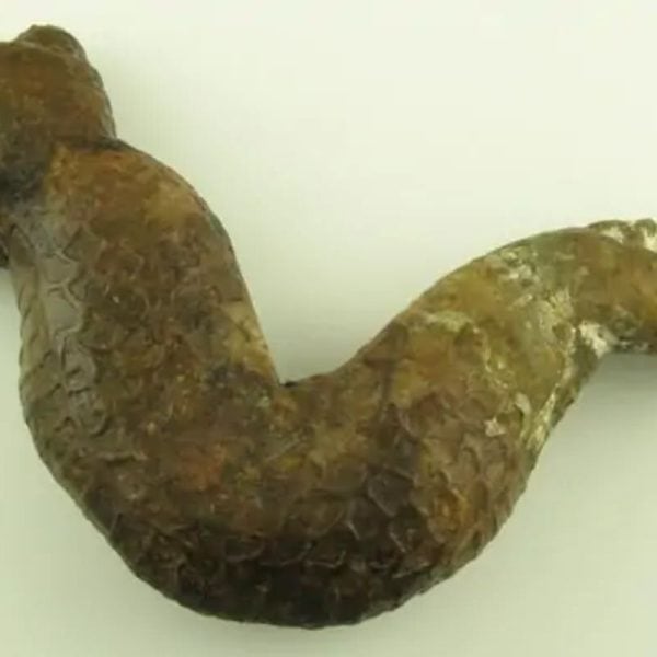 Javanese Dragon Stone - Type A2 - Image 5