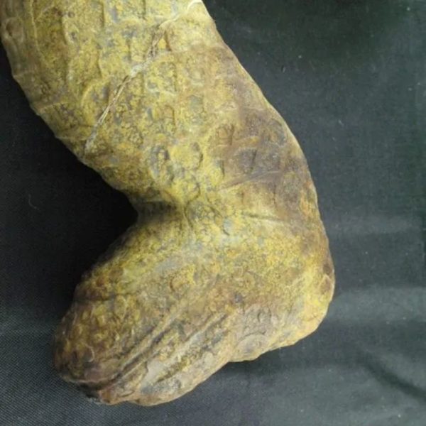 Javanese Dragon Stone - Type C4 - Image 6