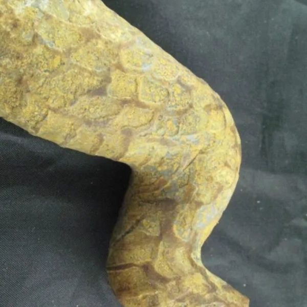Javanese Dragon Stone - Type C4 - Image 3
