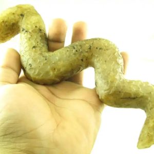 Javanese Dragon Stone - Type B2