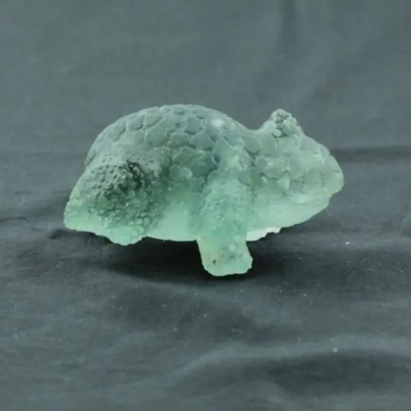 Fossilized Rhino Siluman Spirit Fossil - Type A4 - Image 4