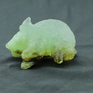Fossilized Rhino Siluman Spirit Fossil - Type A5